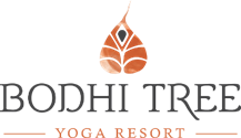 Hotel Bodhi Tree Yoga Resort
